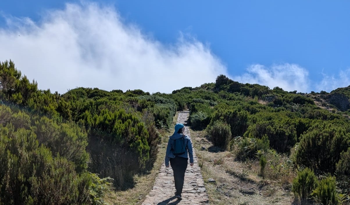 Donatella Genovese Banner